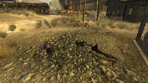 wild wasteland fallout nv|fallout new vegas owen beru.